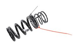 ACDelco GM Genuine Parts Coil Springs for 2023 CORVETTE - 85583614