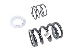 ACDelco GM Genuine Parts Coil Springs for 2023 CORVETTE - 85583625
