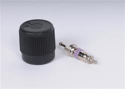ACDelco Schrader Valves 89060523