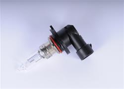 ACDelco Light Bulbs 01999437