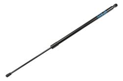 ACDelco - Lift Supports for 2013-2019 ENCORE - 95095593