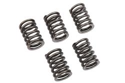 ACDelco - Valve Springs for 2004-2008 AVEO, 2007-2008 AVEO5 - 96353128