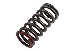 ACDelco - Valve Springs for 2013-2015 SPARK - 96990215