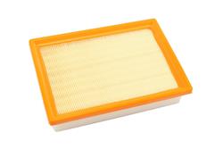 ACDelco Gold Engine Air Filter Elements 25199250