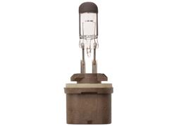 ACDelco Light Bulbs 19257057