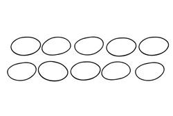 Aeromotive Replacement Fuel Filter O-Rings 12001