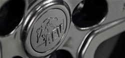 AEV Conversions Wheel Center Caps 20402083AA