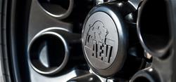 AEV Conversions Wheel Center Caps 20402090AA