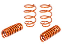 aFe Control Lowering Springs 410-402003-N