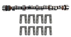AFR Stage 2 Camshaft and Lifter Kits 5804
