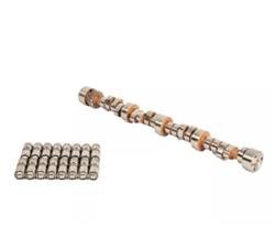 AFR Stage 2 Camshaft and Lifter Kits 5805