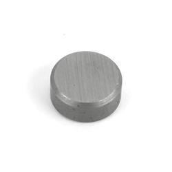 Lash Caps - 8.00mm Valve Stem Diameter (mm) - Free Shipping on