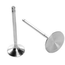AFR Replacement Stainless Steel Valves