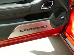 American Car Craft Door Panel Trim ACC-101027-BSRD