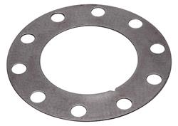Raybestos R-Line Brake Rotor Shims BA80303