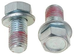 Raybestos Brake Caliper Bolts and Pins H17002