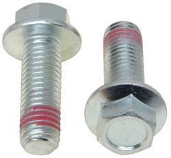 Raybestos Brake Caliper Bolts and Pins H17004