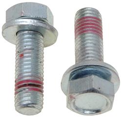 Raybestos Brake Caliper Bolts and Pins H17010