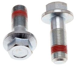 Raybestos Brake Caliper Bolts and Pins H17014