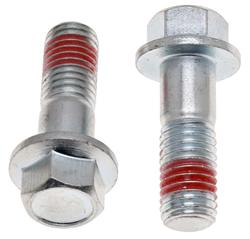 Raybestos Brake Caliper Bolts and Pins H17019