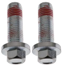 Raybestos Brake Caliper Bolts and Pins H17042