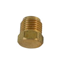 AGS Brass Plug Fittings BLF-63B
