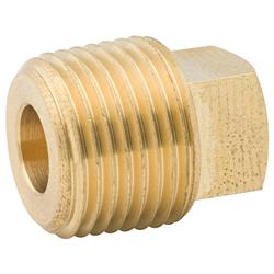 AGS Brass Plug Fittings PTF-60B