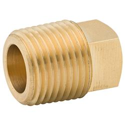 AGS Brass Plug Fittings PTF-61B