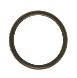 Ajusa Water Neck Gaskets and O-Rings 00538100