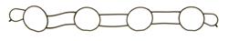Ajusa Intake Manifold Gaskets 13120100