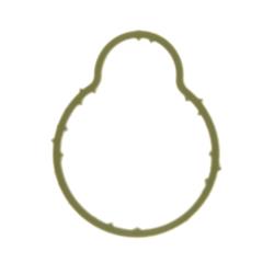 Ajusa - Intake Manifold Gaskets for 1999-2002 GOLF, JETTA - 13159800