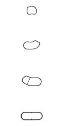 Ajusa Oil Cooler Gaskets and Seals 77005800