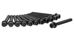 Ajusa Cylinder Head Bolt Sets for 1981-1985 5000, 1993-1997 EUROVAN, 1993-1994 TRANSPORTER - 81000600