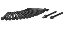 Ajusa Cylinder Head Bolt Sets for 1986-1987 PICKUP, 1984-1987 TROOPER - 81010300