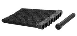 Ajusa Cylinder Head Bolt Sets for 1997-2000 A4, A4 QUATTRO, 1998-2001 PASSAT - 81017200