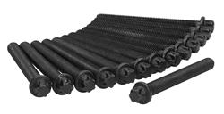 Ajusa Cylinder Head Bolt Sets for 2001-2006 M3, 2001-2002 Z3, 2006-2008 Z4 - 81029600