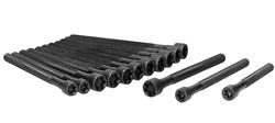 Ajusa Cylinder Head Bolt Sets 81039400