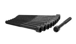 Ajusa Cylinder Head Bolt Sets for 2018-2022 KICKS, 2009-2022 VERSA, 2014-2019 VERSA NOTE - 81042800