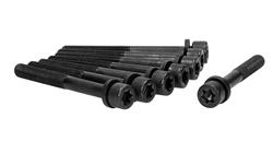 Ajusa Cylinder Head Bolt Sets 81048100