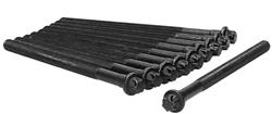 Ajusa Cylinder Head Bolt Sets 81055800