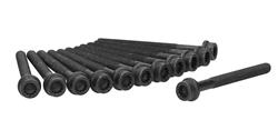 Ajusa Cylinder Head Bolt Sets for 2014 BEETLE - 81062000