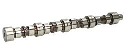 Ajusa Camshafts 93096100