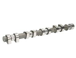 Ajusa - Camshafts for 2001-2005 RIO - 93108500