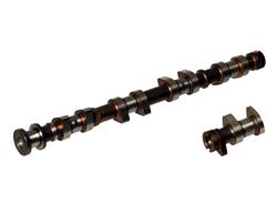 Ajusa Camshafts 93117500