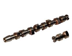 Ajusa - Camshafts for 1998-2003 BEETLE, 1999-2004 GOLF - 93163200