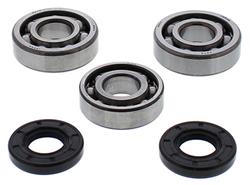 All Balls Crankshaft Bearings and Bushings 22-41117
