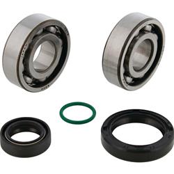 All Balls Racing Crankshaft Bearing Kits ALB-24-1131