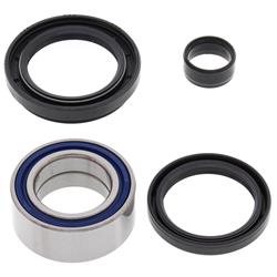 All Balls Racing Wheel and Carrier Bearing Seal Kits 22-51003