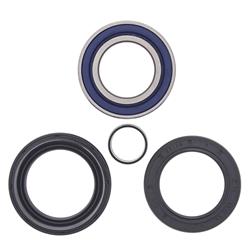 All Balls Racing Wheel and Carrier Bearing Seal Kits 22-51005