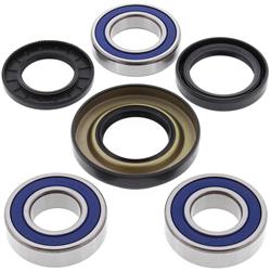 All Balls Racing Wheel and Carrier Bearing Seal Kits 22-51037